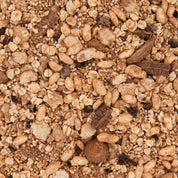 Glutenfreies Bio Granola Müsli von echt jetzt